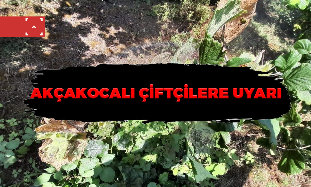 AKÇAKOCALI ÇİFTÇİLERE UYARI