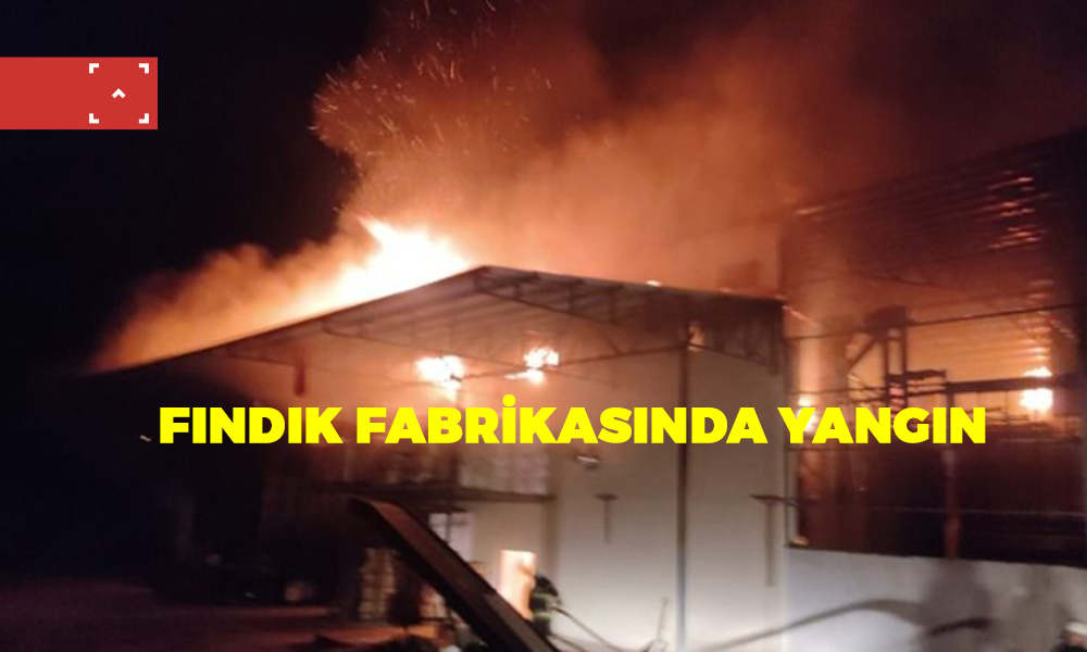 FINDIK FABRİKASINDA YANGIN