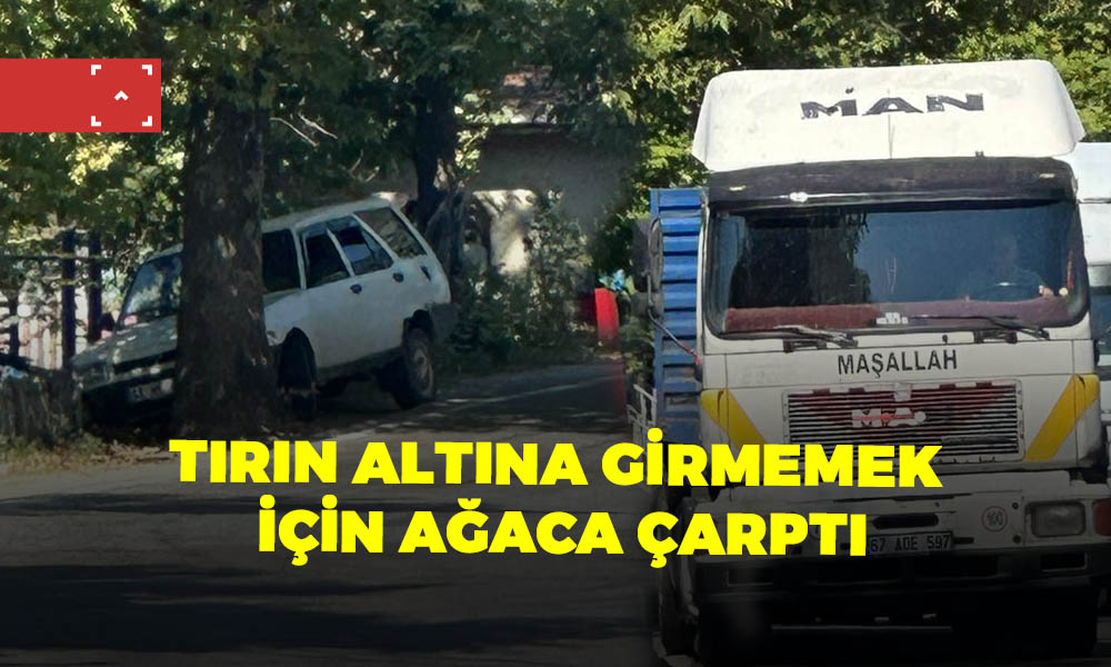 TIRIN ALTINA GİRMEMEK İÇİN AĞACA ÇARPTI
