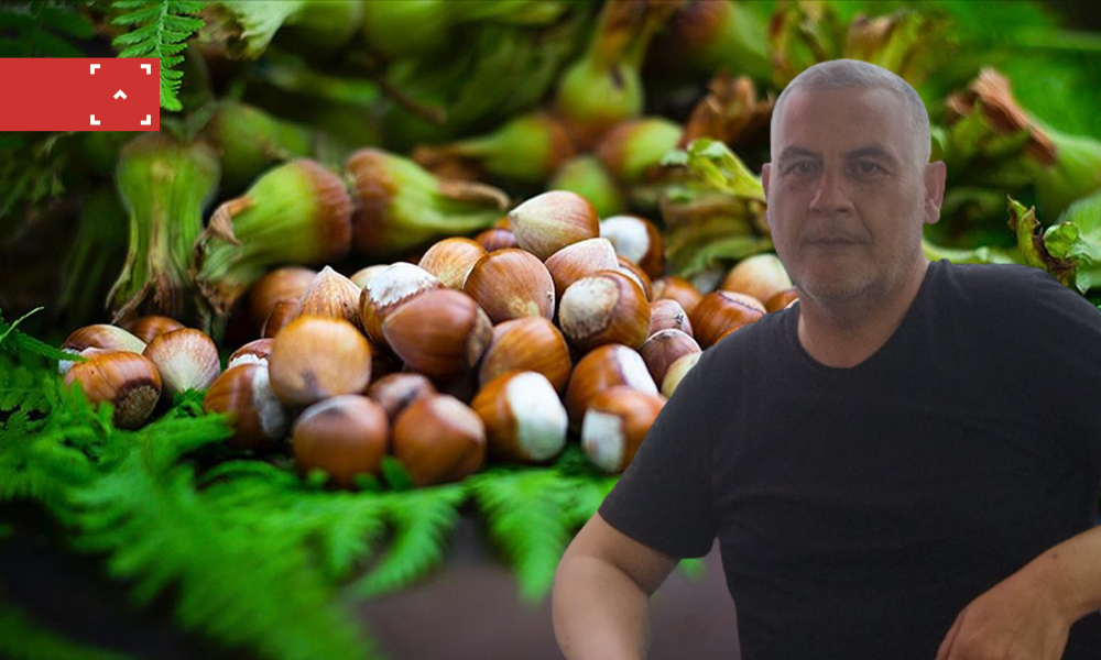 CENK DOĞAN’IN FINDIK HAKKINDAKİ BEĞENİ TOPLAYAN YAZISI