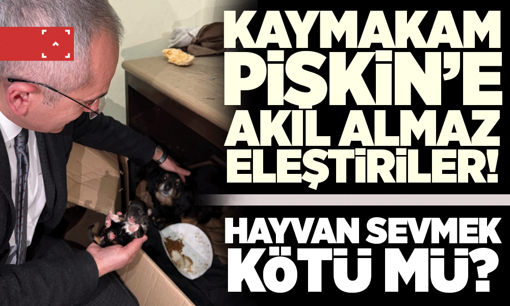 Kaymakam Pişkin’e akıl almaz eleştiriler!